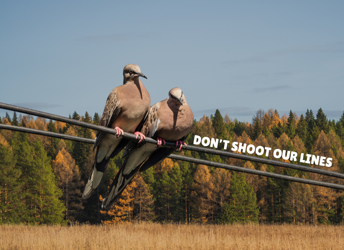 Hunting Season Safety: Keep Utility Equipment Out of Your Sights